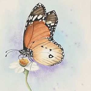 butterfly2